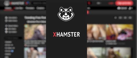 xhamster best|This Months Best Porn Videos